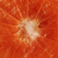 A close-up of a fresh grapefruit, highlighting its vibrant color and citrusy texture, representing the zesty fragrance of the Peachy Grapefruit Zest shampoo.